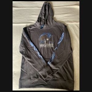 Men’s Hollister Hoodie